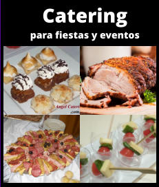 CATERING PARA FIESTAS en Zona Sur - CATERING en Zona Sur